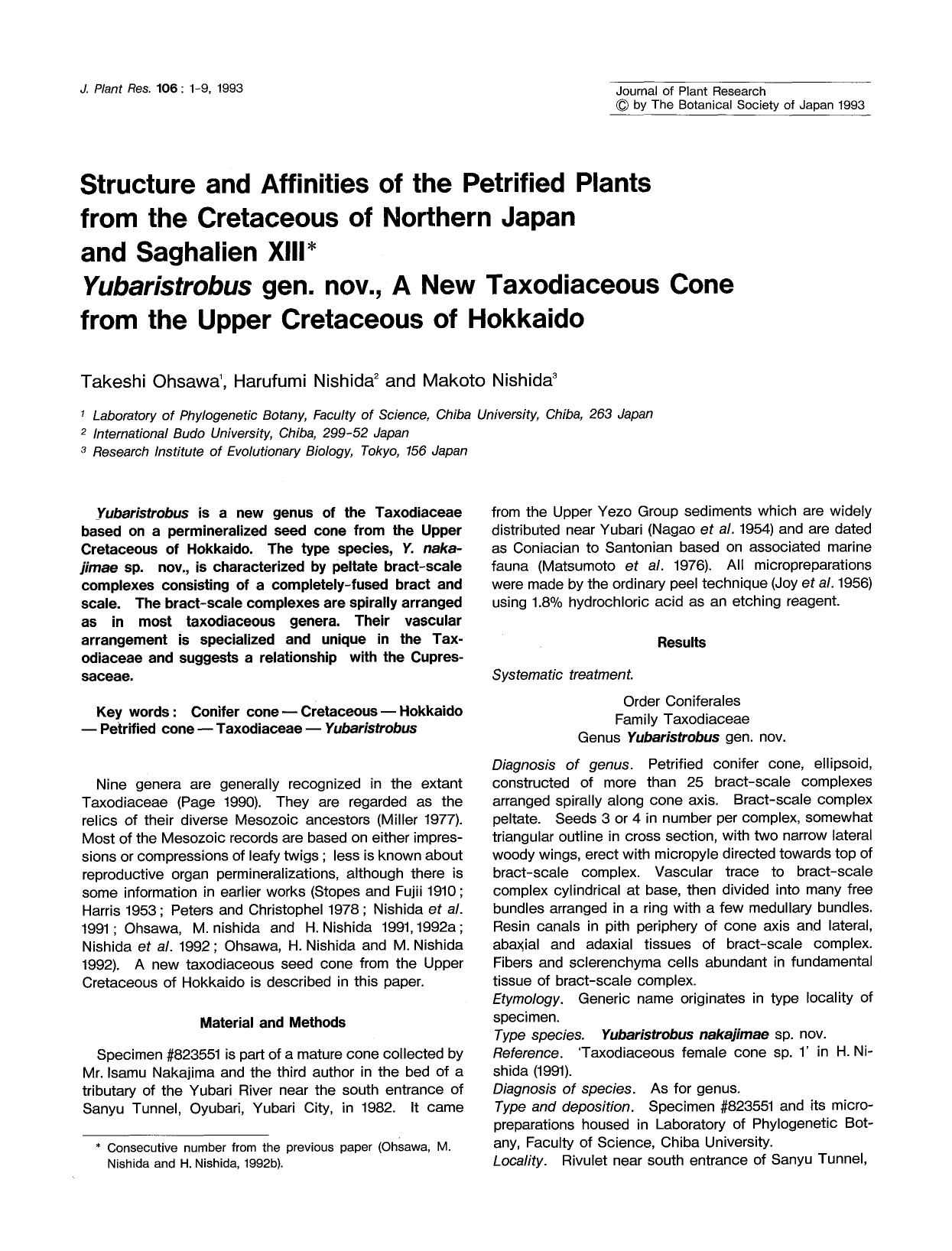 Structure and affinities of the petrified plants from the cretaceous of Northern Japan and Saghalien XIII <Emphasis Type="Italic">Yubaristrobus <Emphasis> gen. nov., A new Taxodiac by Unknown