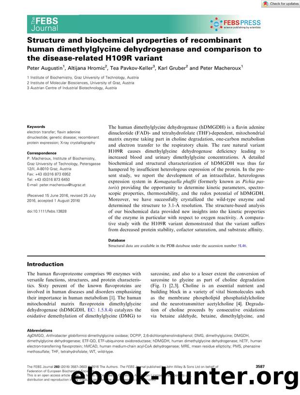 Structure and biochemical properties of recombinant human dimethylglycine dehydrogenase and comparison to the diseaseârelated H109R variant by Unknown