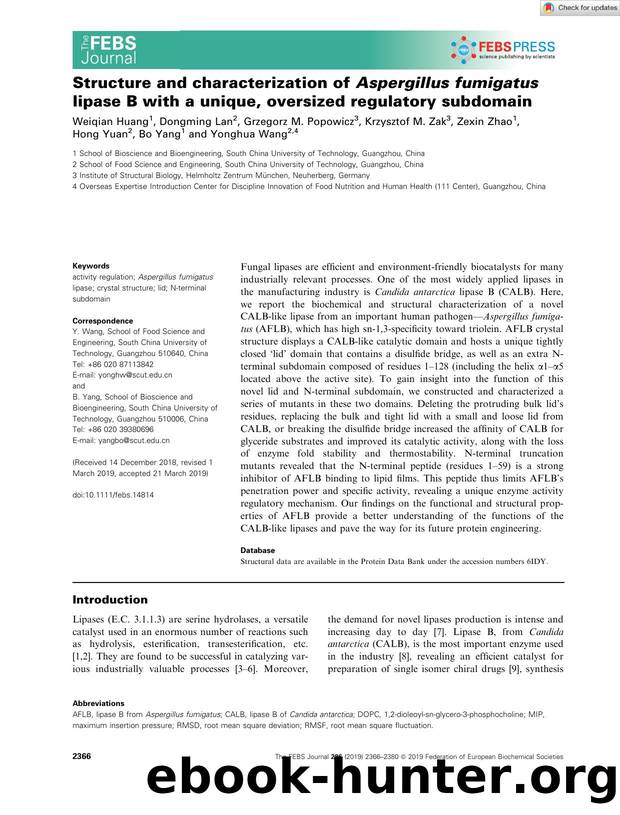 Structure and characterization of Aspergillus fumigatus lipase B with a unique, oversized regulatory subdomain by Unknown