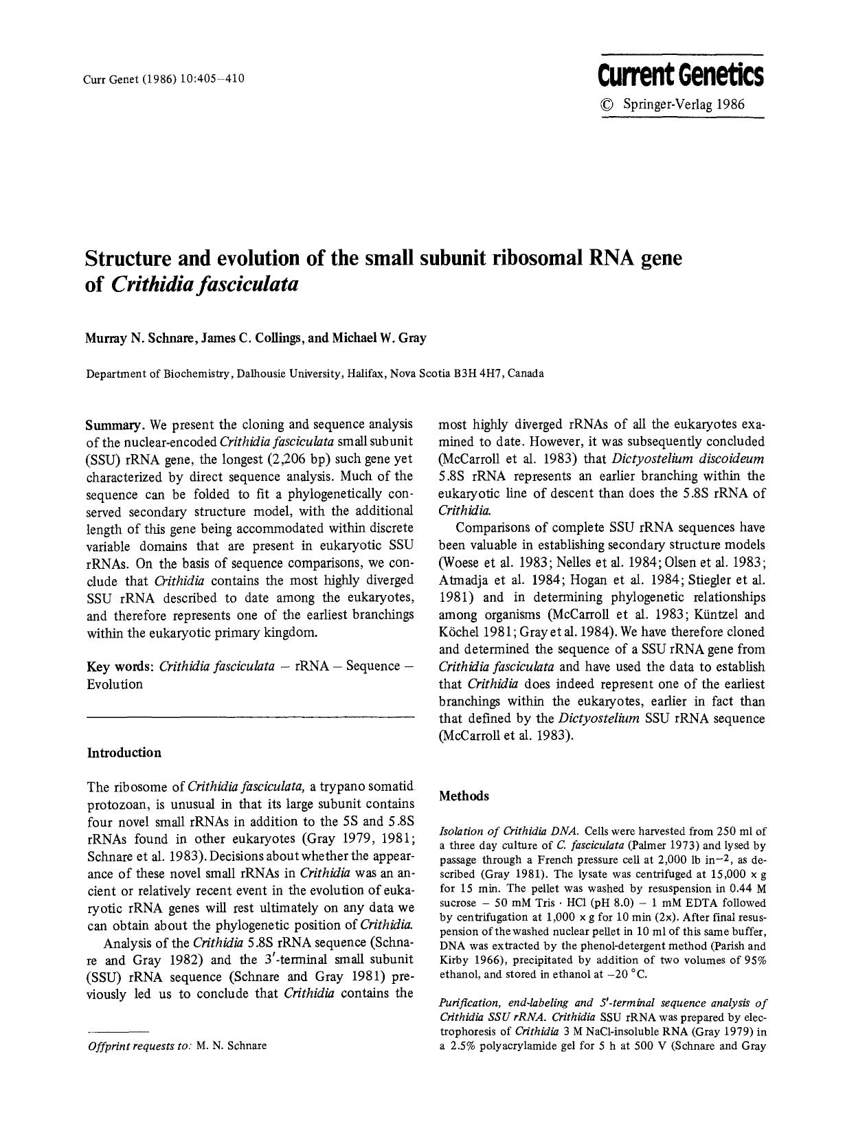 Structure and evolution of the small subunit ribosomal RNA gene of <Emphasis Type="Italic">Crithidia fasciculata<Emphasis> by Unknown