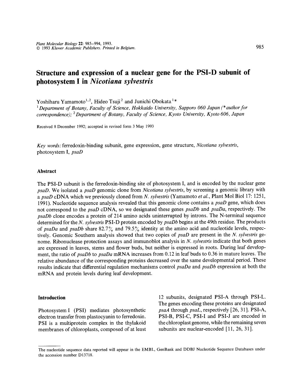 Structure and expression of a nuclear gene for the PSI-D subunit of photosystem I in <Emphasis Type="Italic">Nicotiana sylvestris <Emphasis> by Unknown