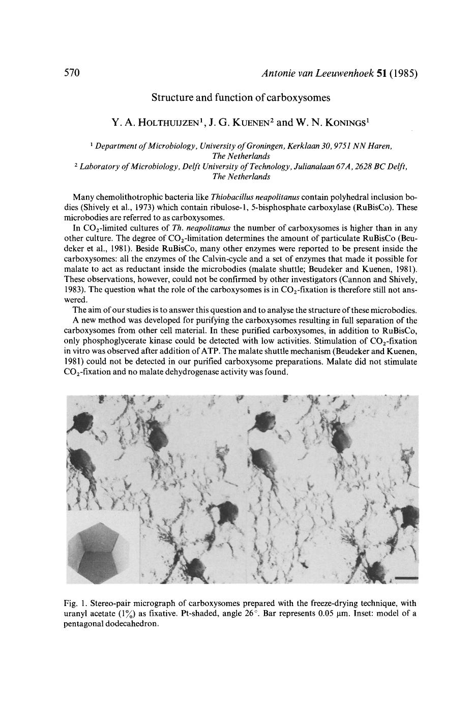 Structure and function of carboxysomes by Unknown