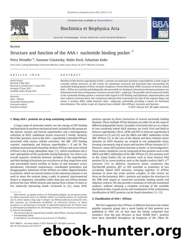 Structure and function of the AAA+ nucleotide binding pocket by Petra Wendler & Susanne Ciniawsky & Malte Kock & Sebastian Kube