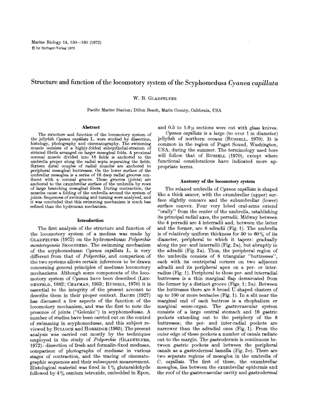 Structure and function of the locomotory system of the Scyphomedusa <Emphasis Type="Italic">Cyanea capillata<Emphasis> by Unknown