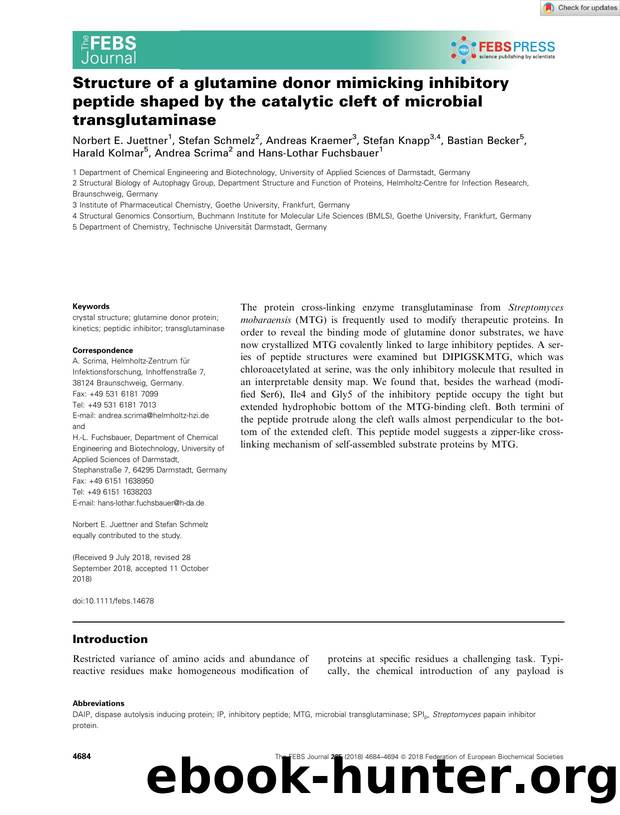 Structure of a glutamine donor mimicking inhibitory peptide shaped by the catalytic cleft of microbial transglutaminase by Unknown