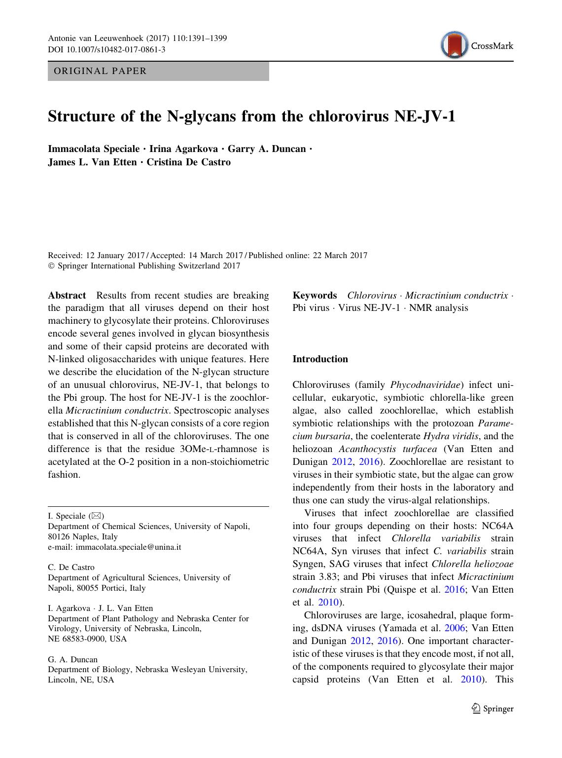 Structure of the N-glycans from the chlorovirus NE-JV-1 by Immacolata Speciale & Irina Agarkova & Garry A. Duncan & James L. Etten & Cristina Castro