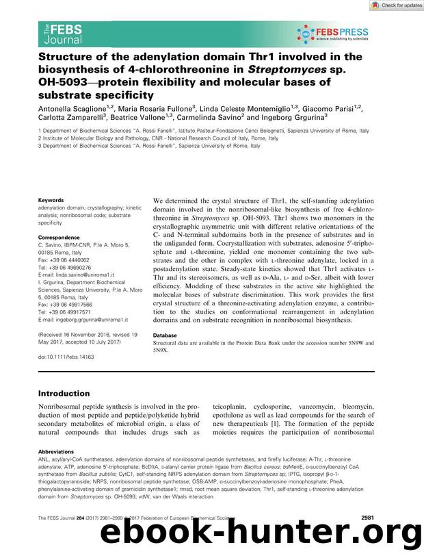 Structure of the adenylation domain Thr1 involved in the biosynthesis of 4âchlorothreonine in Streptomyces sp. OHâ5093âprotein flexibility and molecular bases of substrate specificity by Unknown