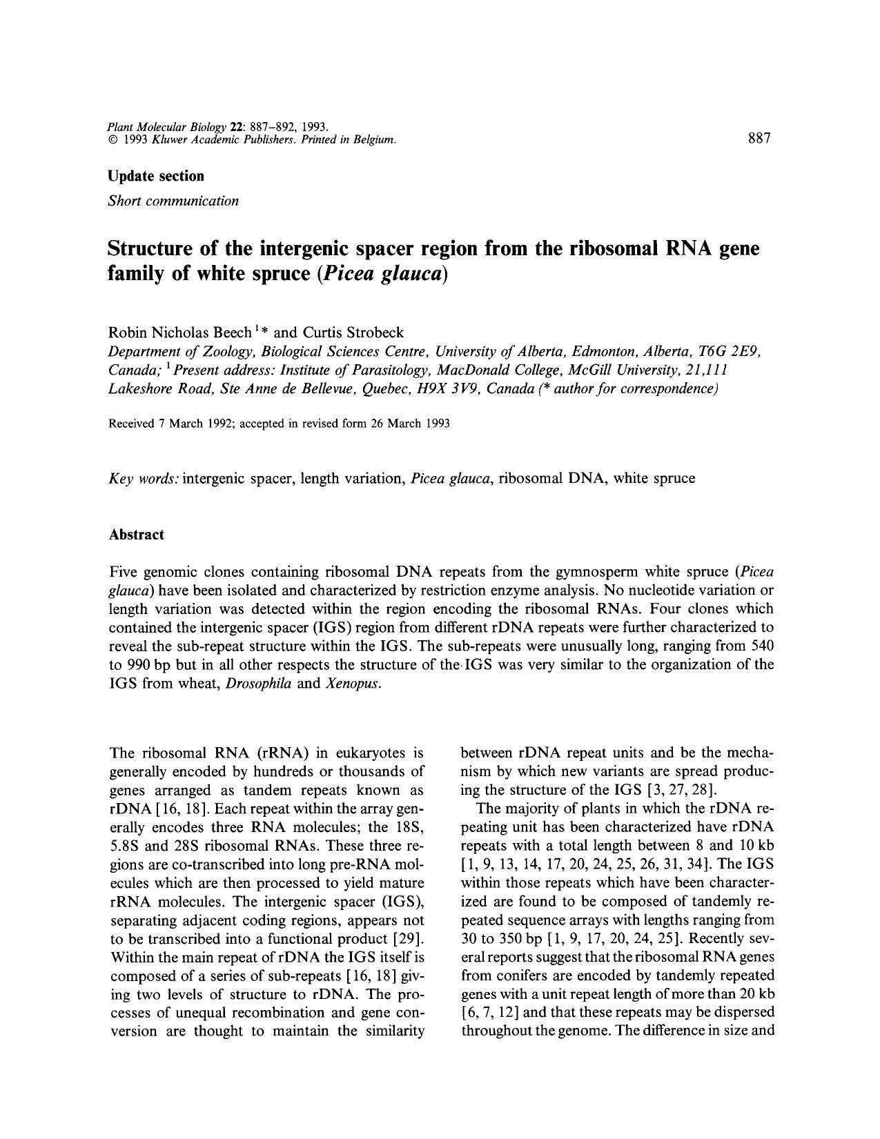 Structure of the intergenic spacer region from the ribosomal RNA gene family of white spruce ( <Emphasis Type="Italic">Picea glauca <Emphasis>) by Unknown