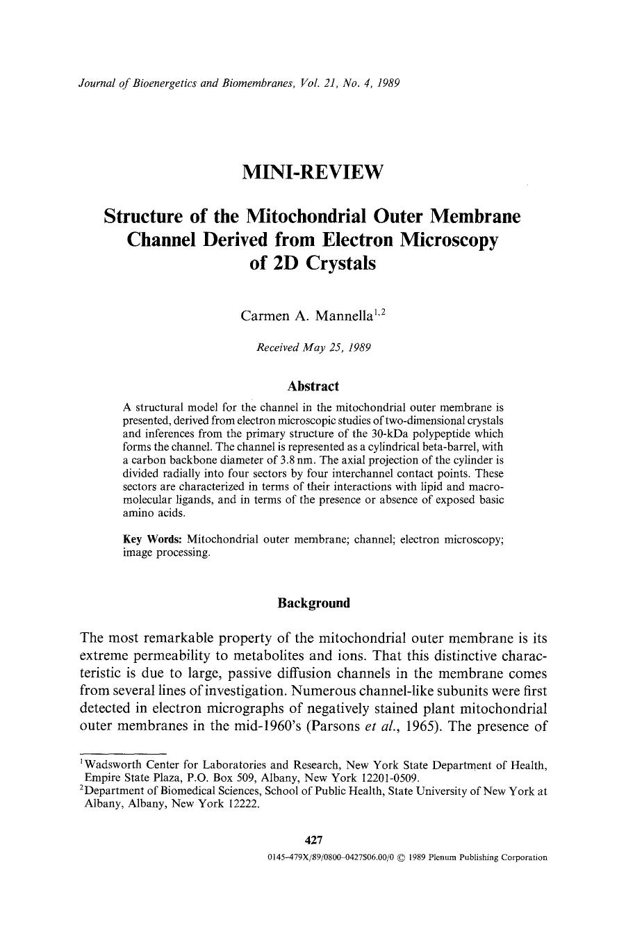 Structure of the mitochondrial outer membrane channel derived from electron microscopy of 2D crystals by Unknown