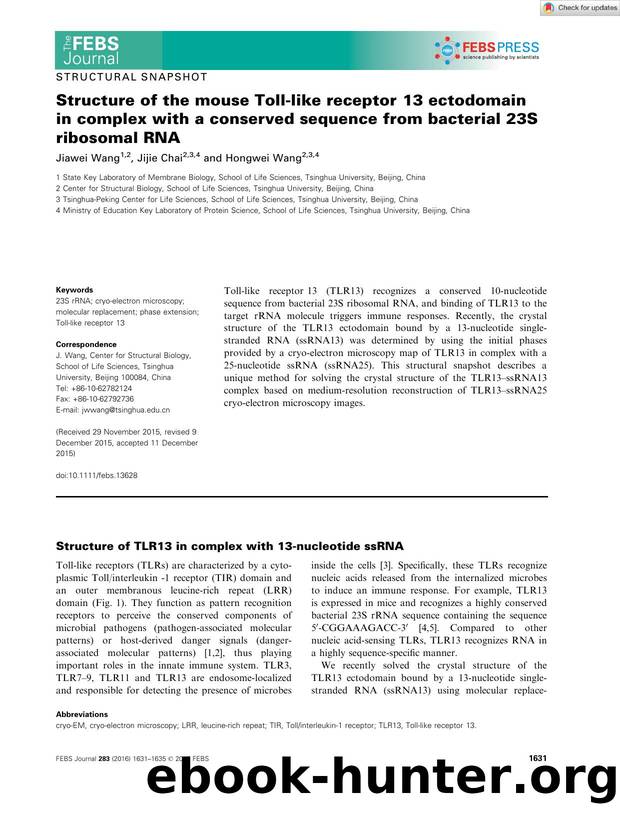 Structure of the mouse Tollâlike receptor 13 ectodomain in complex with a conserved sequence from bacterial 23S ribosomal RNA by Unknown
