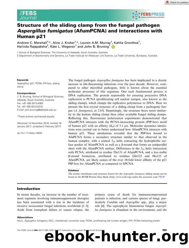 Structure of the sliding clamp from the fungal pathogen Aspergillus fumigatus (AfumPCNA) and interactions with Human p21 by Unknown