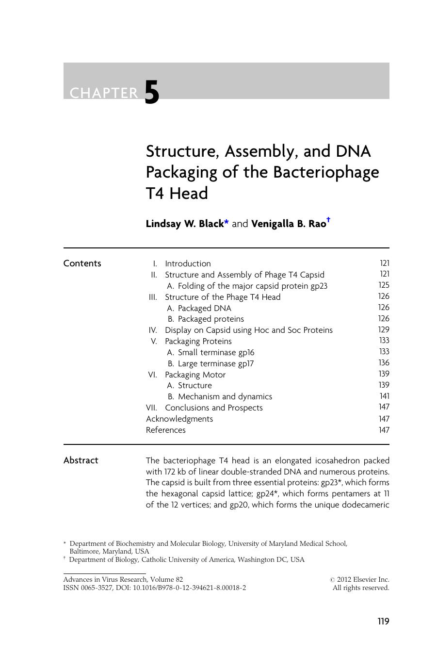 Structure, Assembly, and DNA Packaging of the Bacteriophage T4 Head by Lindsay W. Black & Venigalla B. Rao