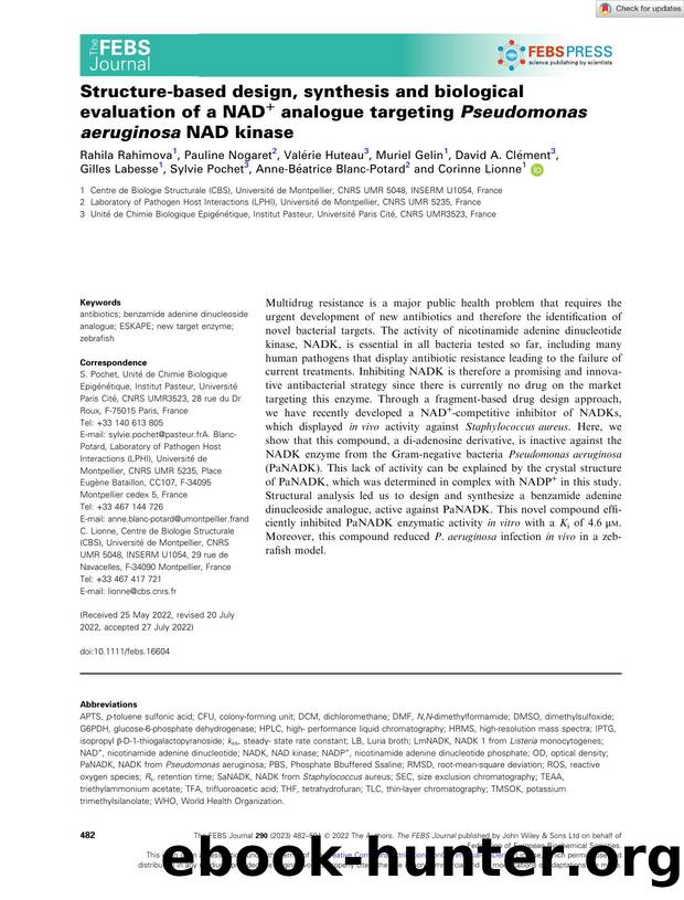 Structureâbased design, synthesis and biological evaluation of a NAD+ analogue targeting Pseudomonas aeruginosa NAD kinase by Unknown