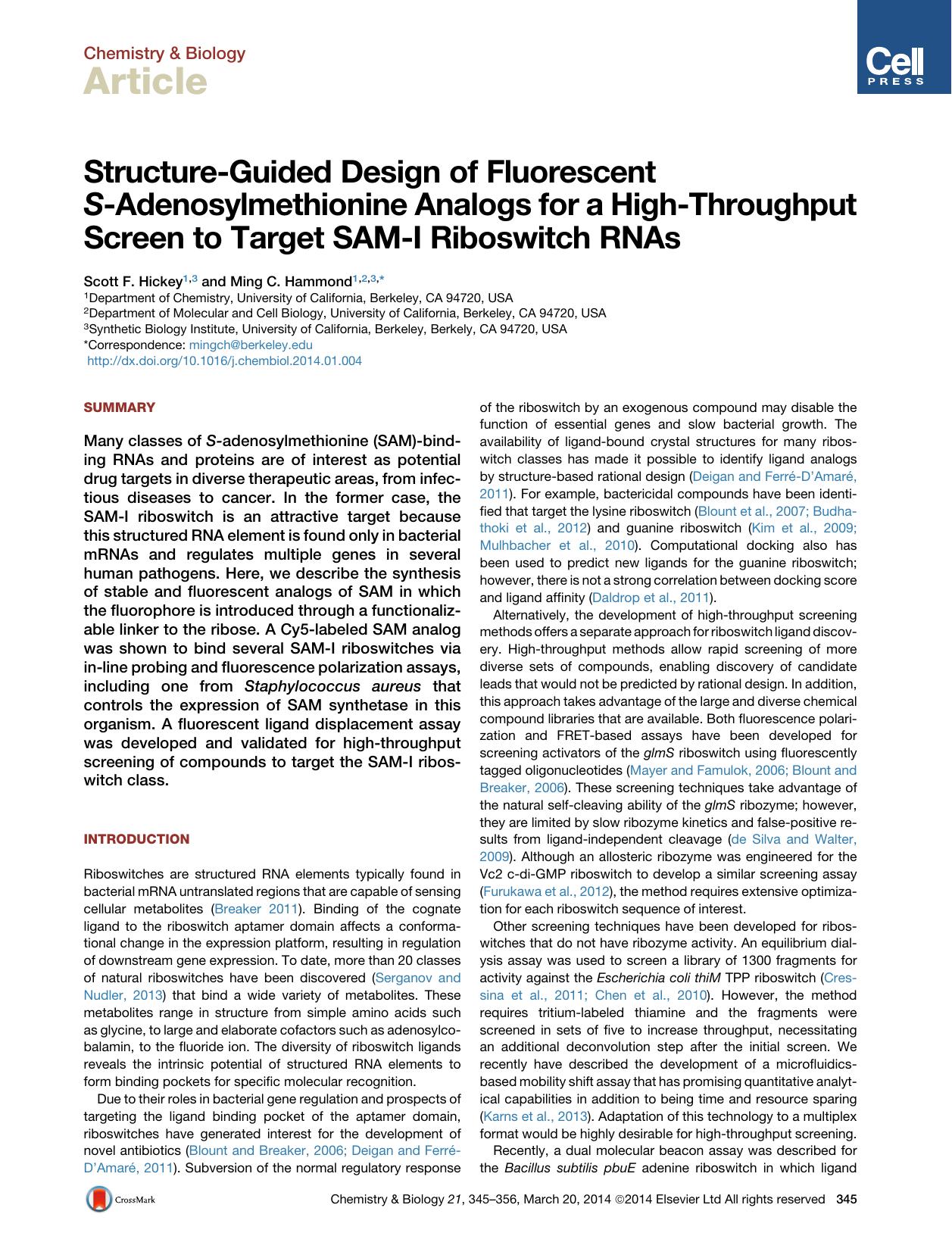 Structure-Guided Design of Fluorescent S-Adenosylmethionine Analogs for a High-Throughput Screen to Target SAM-I Riboswitch RNAs by Scott F. Hickey & Ming C. Hammond