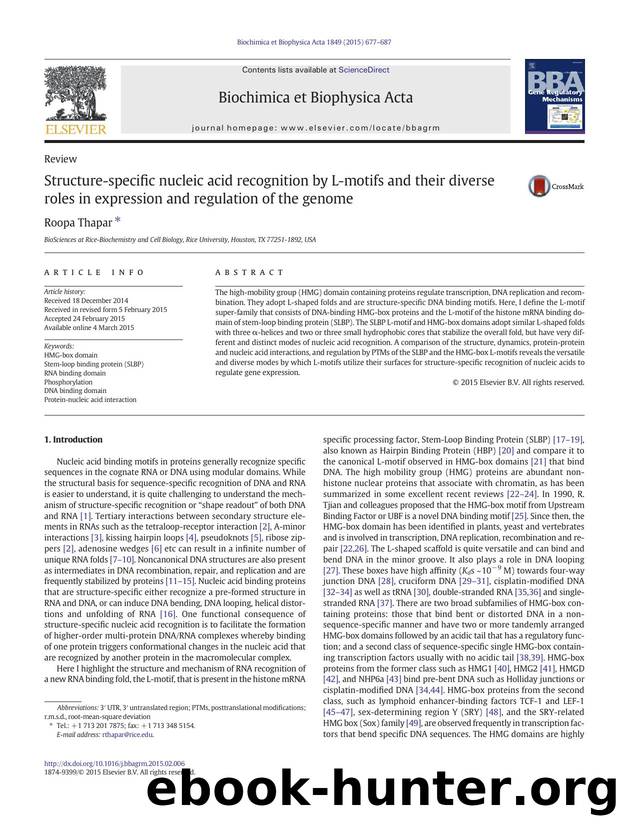 Structure-specific nucleic acid recognition by L-motifs and their diverse roles in expression and regulation of the genome by Roopa Thapar