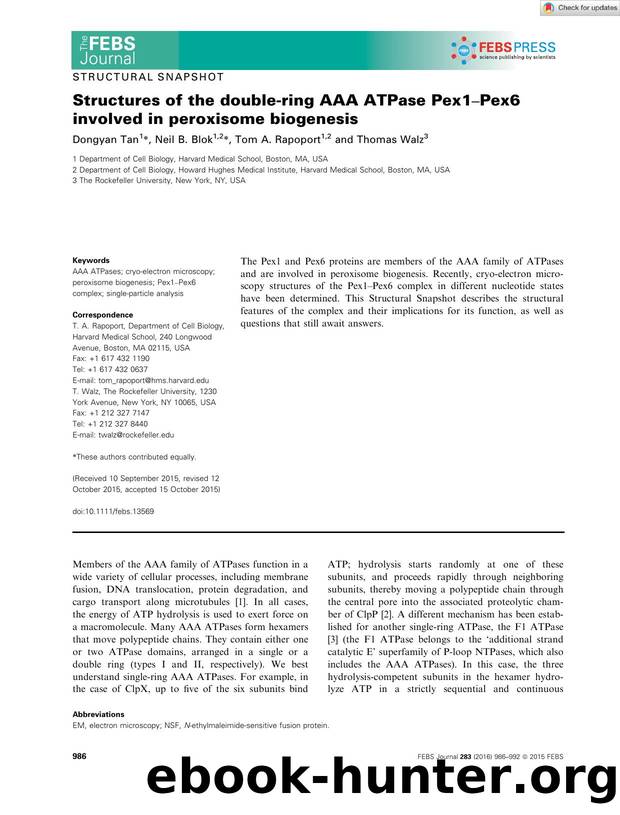 Structures of the doubleâring AAA ATPase Pex1âPex6 involved in peroxisome biogenesis by Unknown