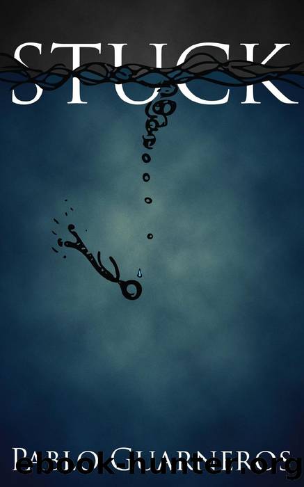 Stuck by Pablo Guarneros
