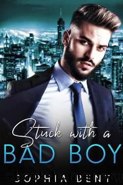 Stuck with a Bad Boy: An Enemies to Lovers Billionaire Romance by Sophia Bent