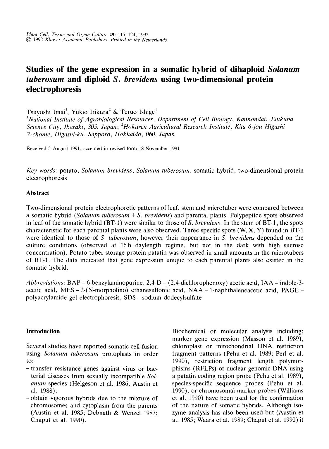 Studies of the gene expression in a somatic hybrid of dihaploid <Emphasis Type="Italic">Solanum tuberosum <Emphasis> and diploid <Emphasis Type="Italic">S. brevidens <Emphasis> u by Unknown