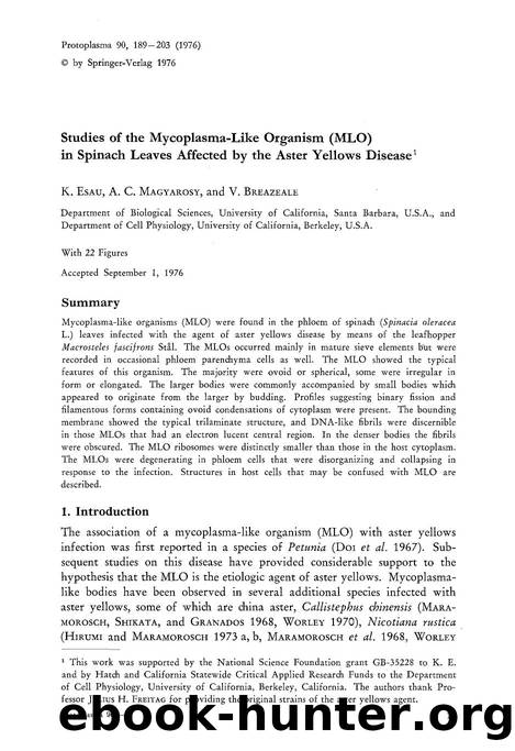 Studies of the mycoplasma-like organism (MLO) in spinach leaves affected by the aster yellows disease by Unknown