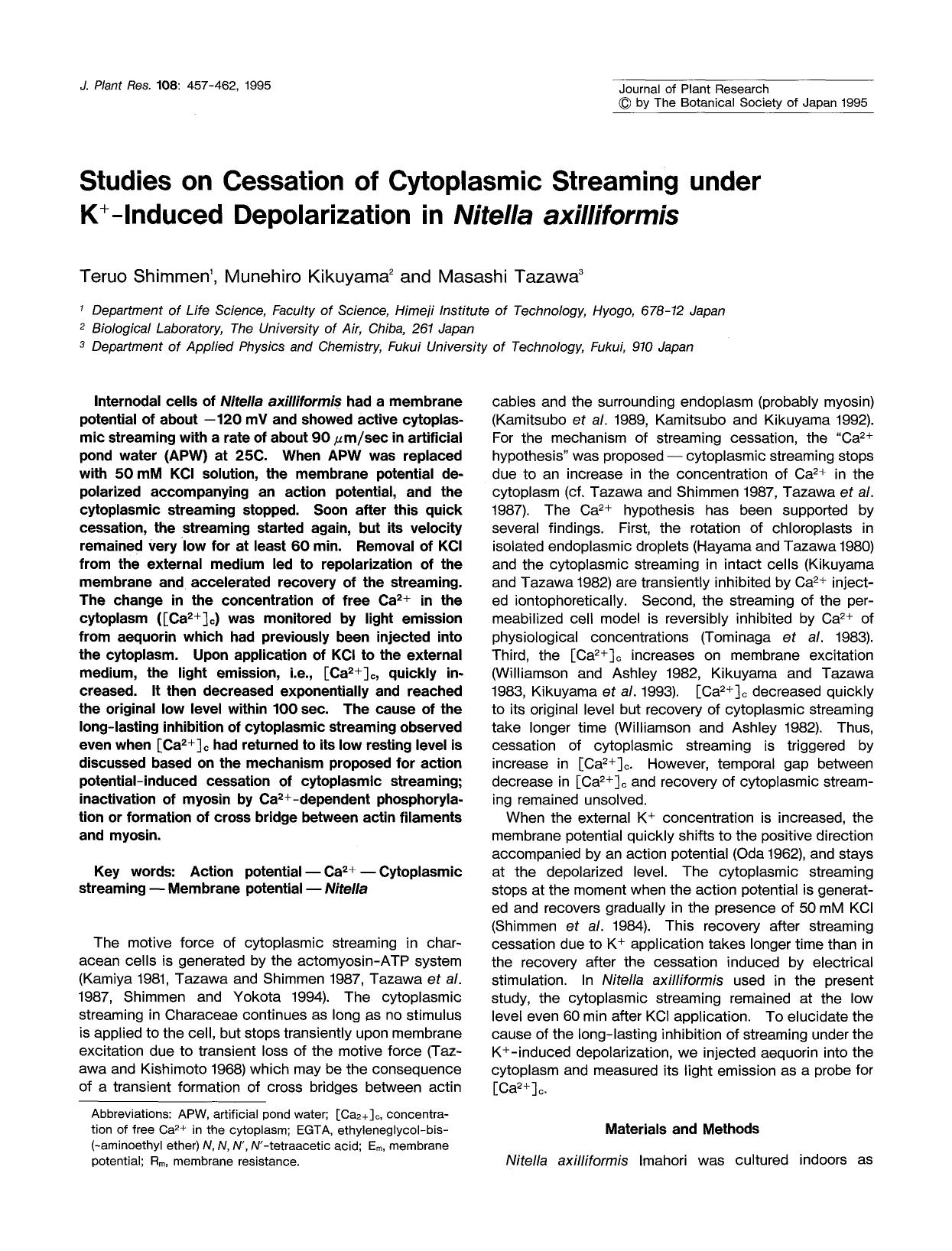 Studies on cessation of cytoplasmic streaming under K <Superscript>+ <Superscript>-induced depolarization in <Emphasis Type="Italic">Nitella axilliformis <Emphasis> by Unknown