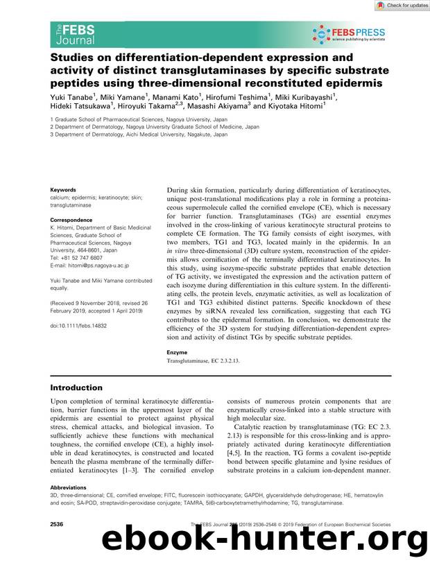 Studies on differentiationâdependent expression and activity of distinct transglutaminases by specific substrate peptides using threeâdimensional reconstituted epidermis by Unknown