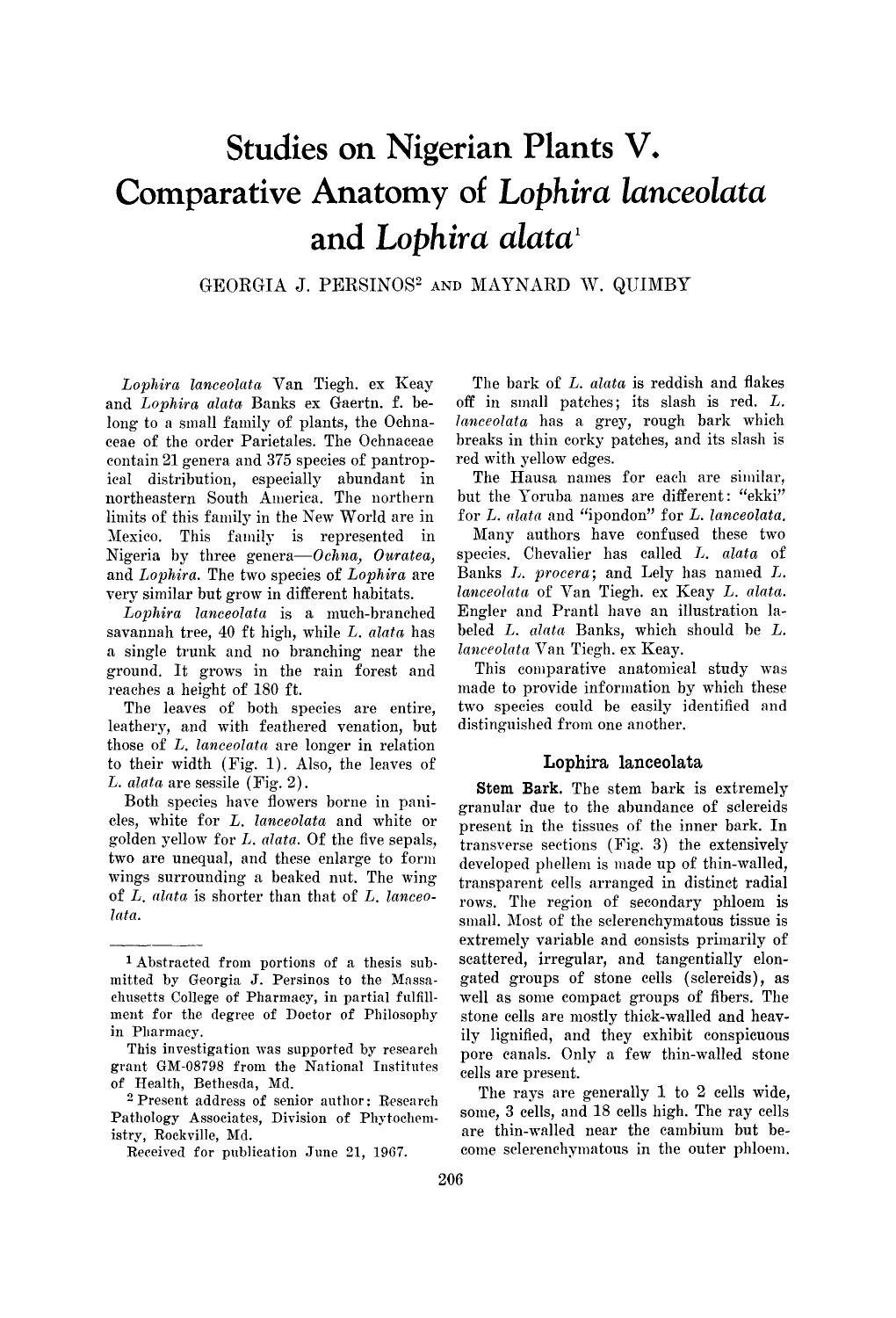 Studies on nigerian plants v. comparative anatomy of lophira lanceolata and lophira alata by Unknown