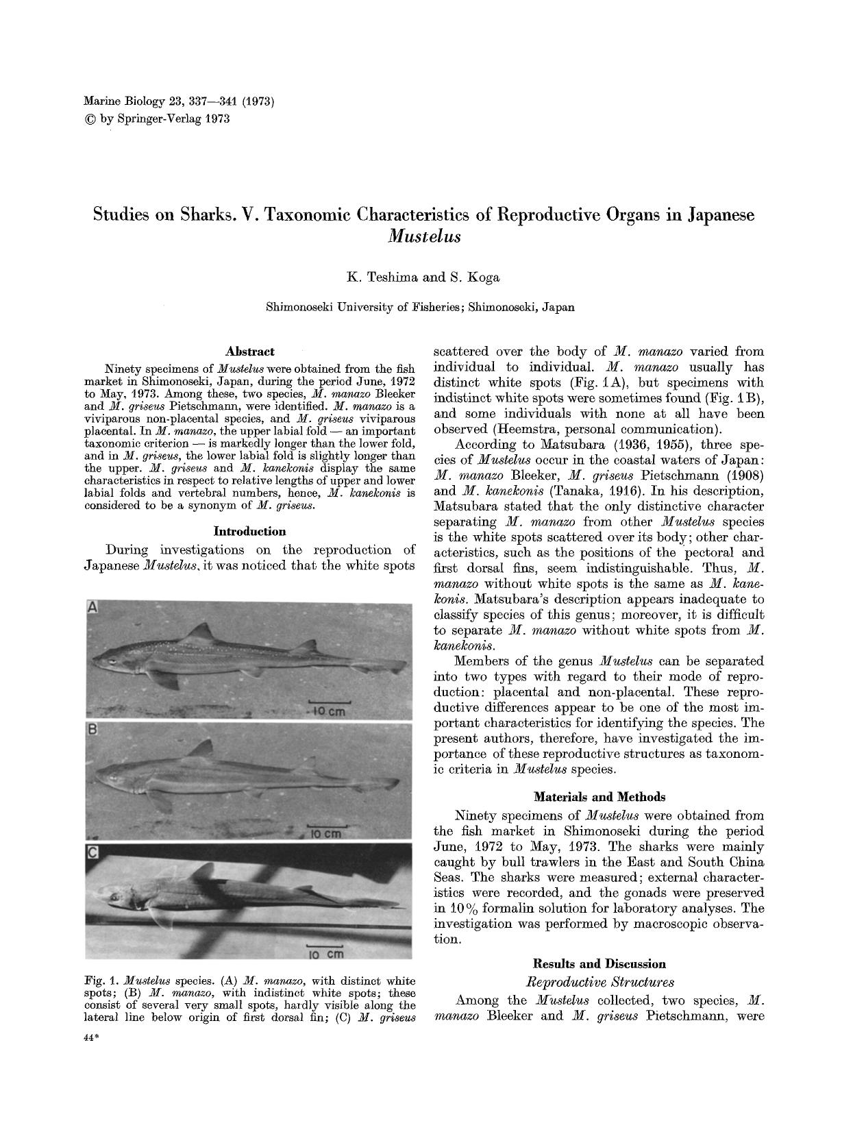 Studies on sharks. V. Taxonomic characteristics of reproductive organs in Japanese <Emphasis Type="Italic">Mustelus<Emphasis> by Unknown