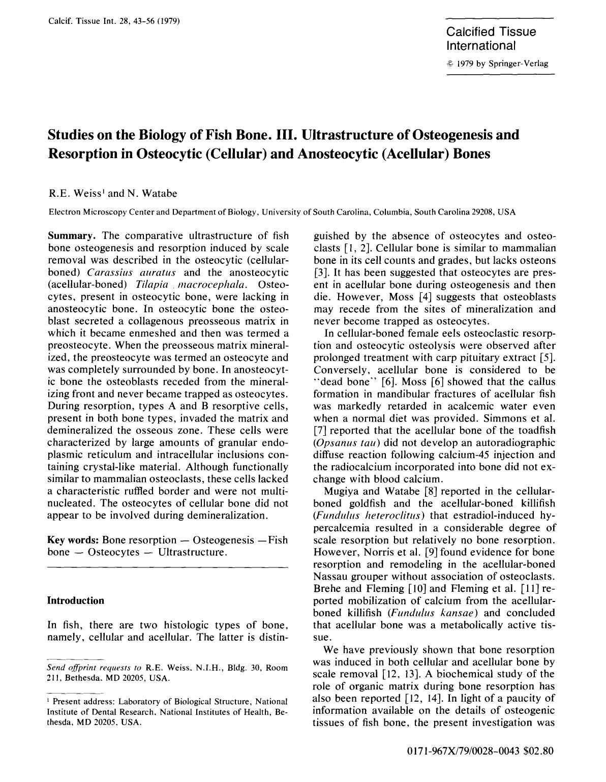 Studies on the biology of fish bone. III. Ultrastructure of osteogenesis and resorption in osteocytic (cellular) and anosteocytic (acellular) bones by Unknown