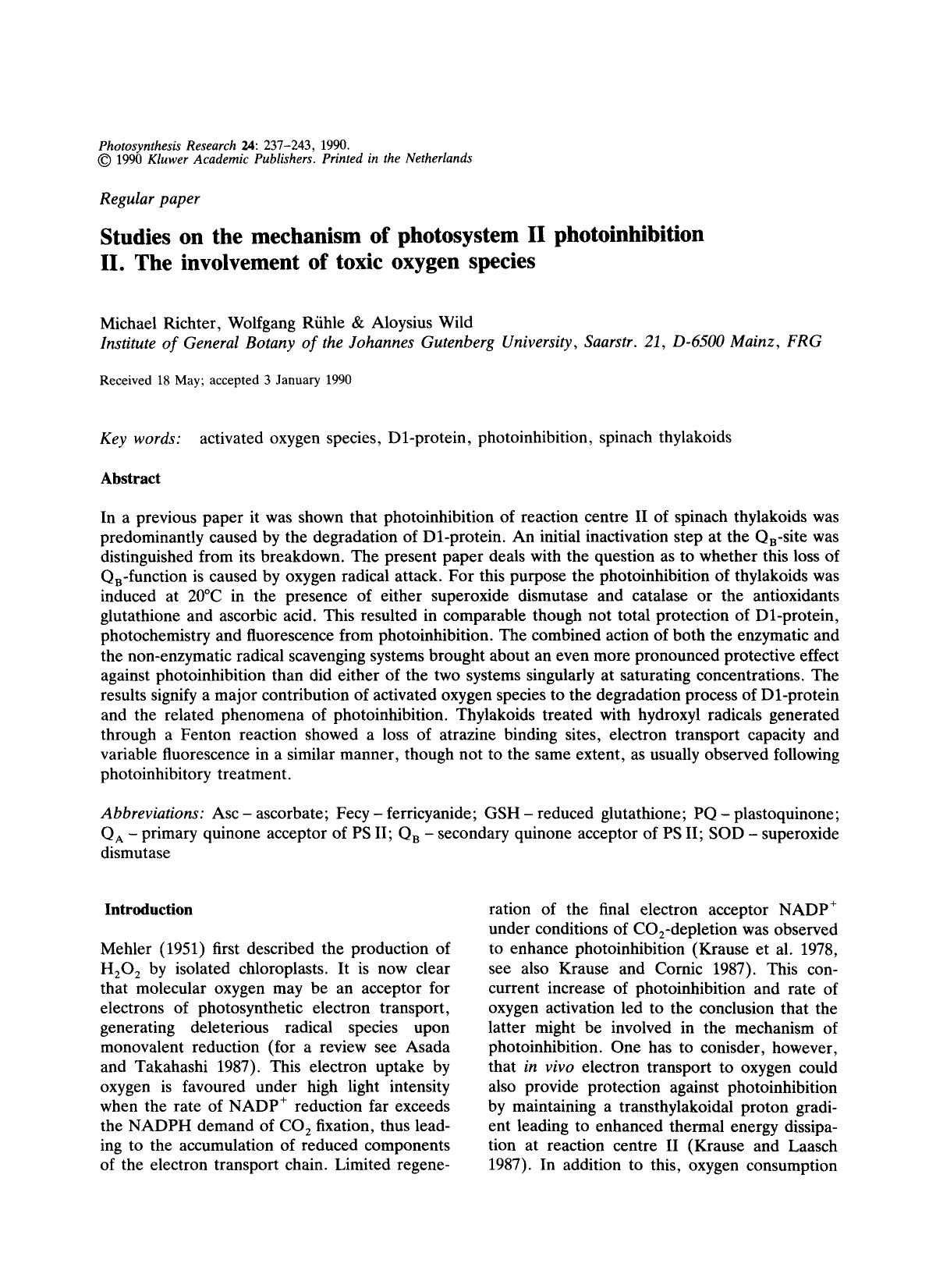 Studies on the mechanism of photosystem II photoinhibition II. The involvement of toxic oxygen species by Unknown