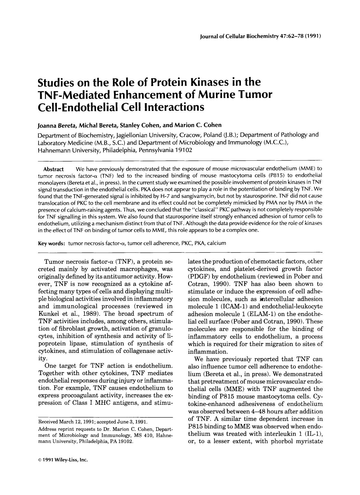 Studies on the role of protein kinases in the TNF-mediated enhancement of murine tumor cell-endothelial cell interactions by Unknown