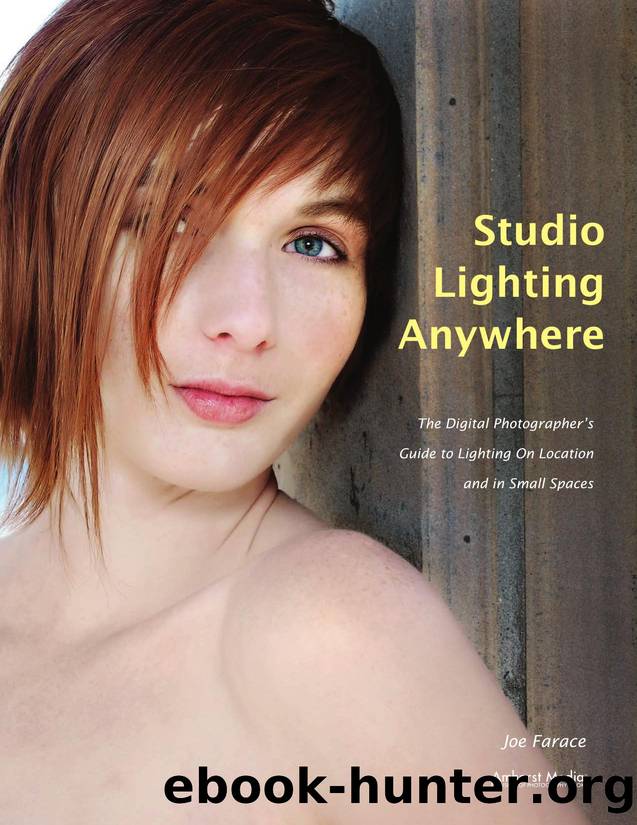 Studio Lighting Anywhere; The Digital Photographer's Guide to Lighting on Location and in Small Spaces by Farace Joe
