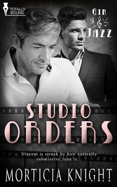 Studio Orders by Morticia Knight