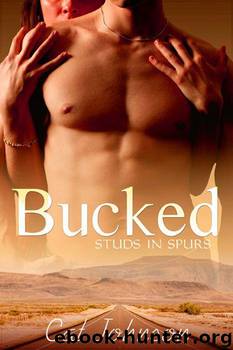 Studs in Spurs, Book 2: Bucked by Johnson Cat