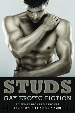 Studs: Gay Erotic Fiction by Emanuel Xavier Richard Labonté