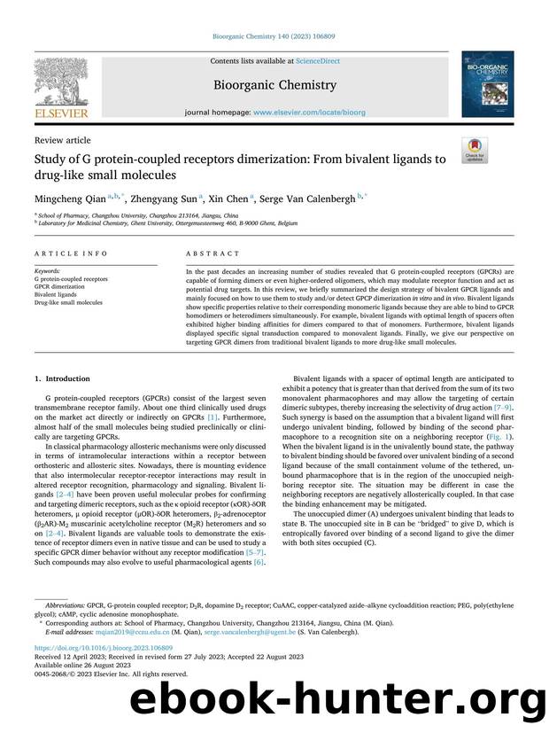 Study of G protein-coupled receptors dimerization: From bivalent ligands to drug-like small molecules by Mingcheng Qian & Zhengyang Sun & Xin Chen & Serge Van Calenbergh