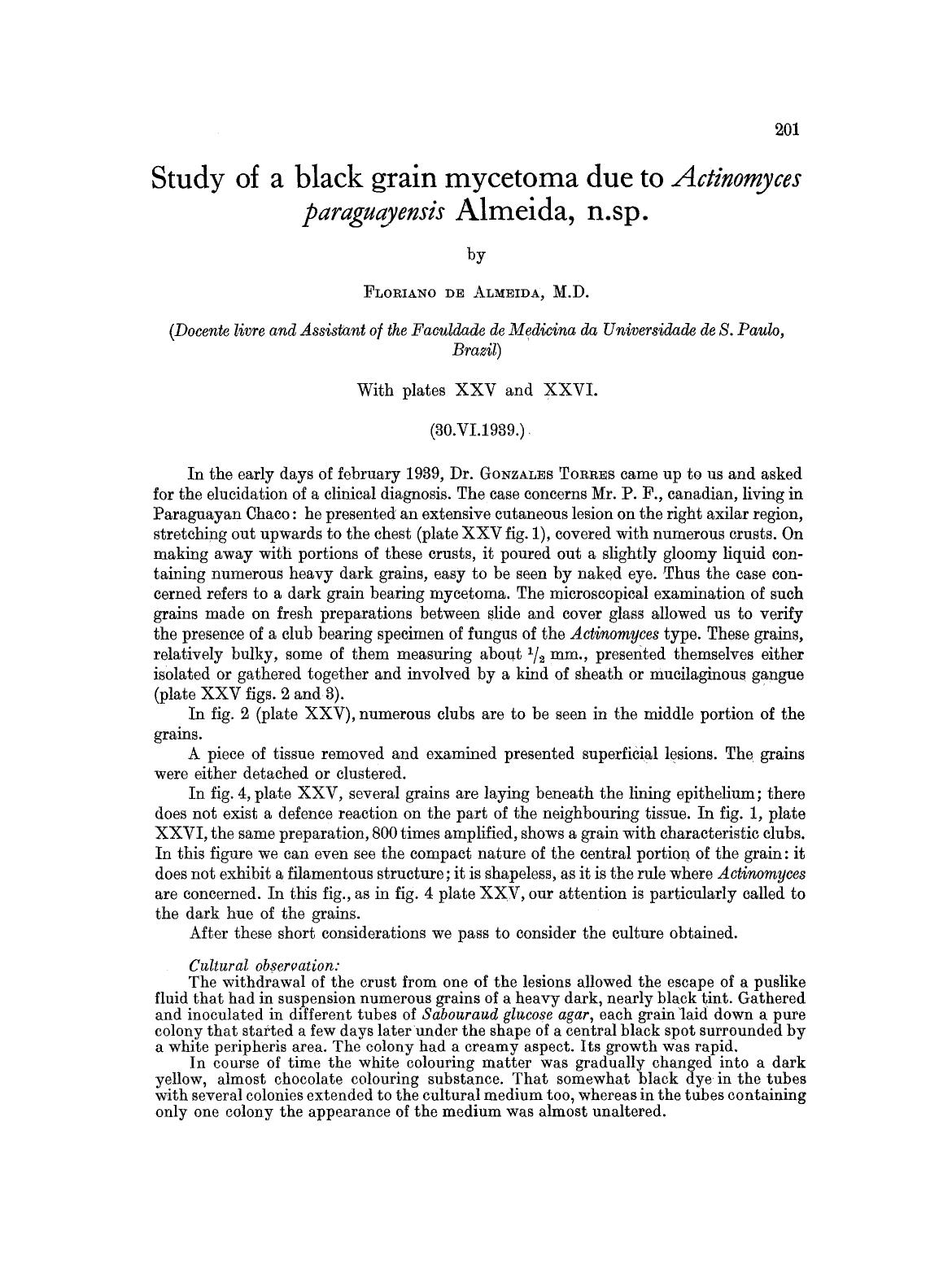 Study of a black grain mycetoma due to <Emphasis Type="Italic">Actinomyces paraguayensis<Emphasis> Almeida, n.sp. by Unknown