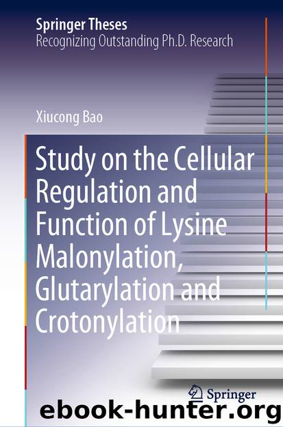 Study on the Cellular Regulation and Function of Lysine Malonylation, Glutarylation and Crotonylation by Xiucong Bao