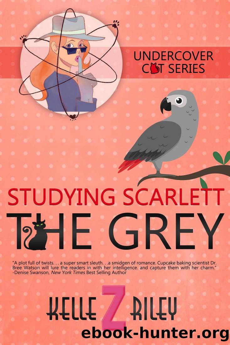 Studying Scarlett The Grey by Kelle Z. Riley