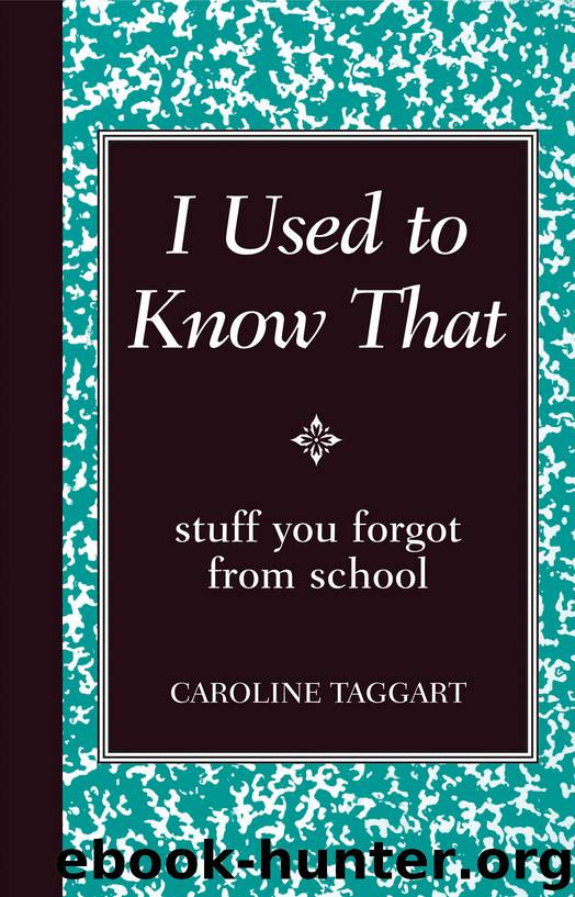 Stuff You Forgot from School by Caroline Taggart