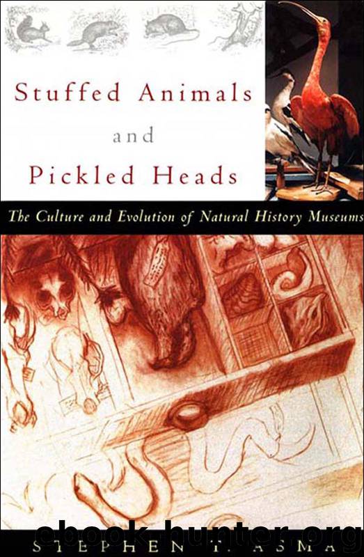 Stuffed Animals and Pickled Heads by Asma Stephen T