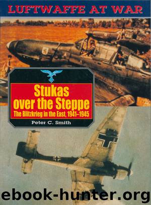 Stukas Over the Steppe by Peter C. Smith