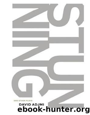 Stunning and Other Plays by David Adjmi