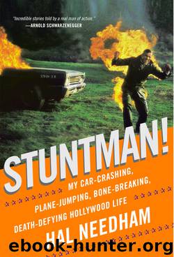 Stuntman! by Hal Needham