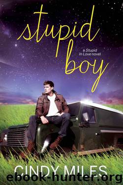 Stupid Boy by Cindy Miles