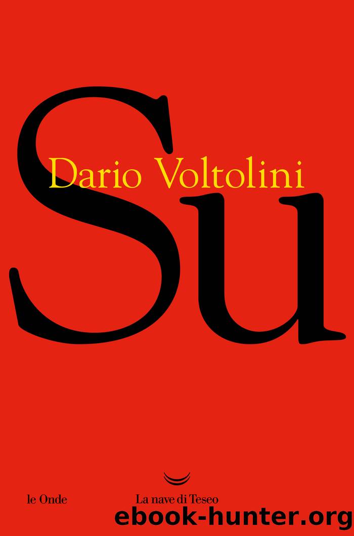 Su by Dario Voltolini