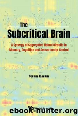 Subcritical Brain, The: A Synergy Of Segregated Neural Circuits In Memory, Cognition And Sensorimotor Control by Baram Yoram;