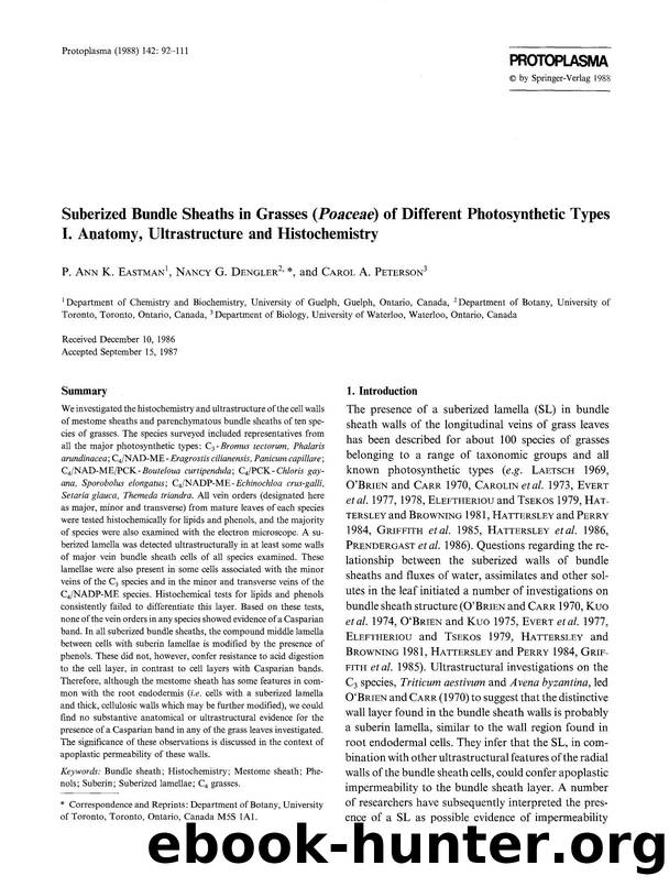 Suberized bundle sheaths in grasses ( <Emphasis Type="Italic">Poaceae <Emphasis>) of different photosynthetic types I. Anatomy, ultrastructure and histochemistry by Unknown