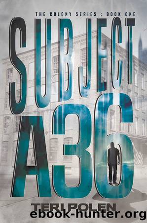 Subject A36 by Teri Polen