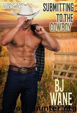 Submitting to the Cowboy by B J Wane